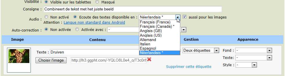 Choix de la langue