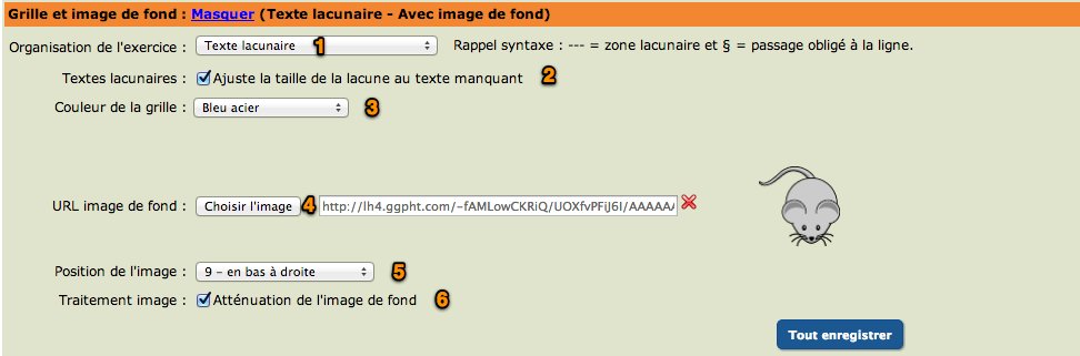 Mise en forme du texte lacunaire
