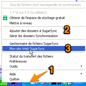 Menu de SugarSync